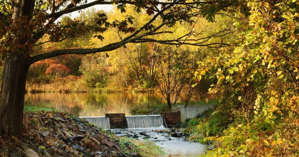 Mill Woods Park CTvisit